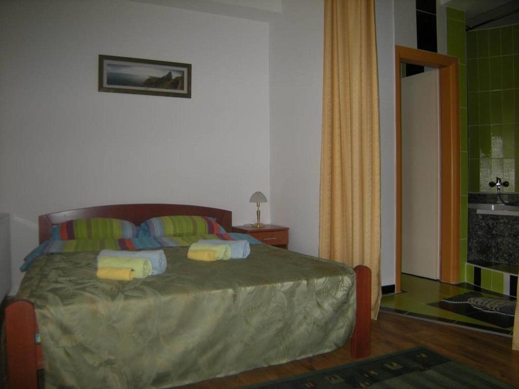 Bazeni Baikal Hotel Topola Cameră foto